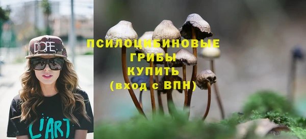 мяу мяу мука Баксан