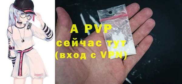 мяу мяу мука Баксан