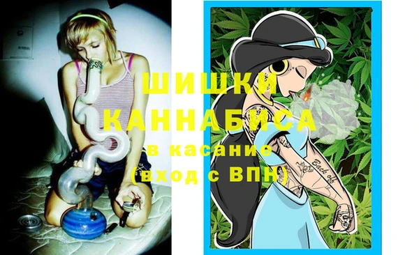 мяу мяу мука Баксан