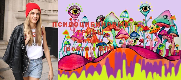 мяу мяу мука Баксан