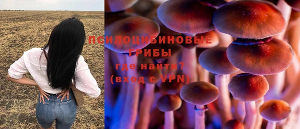 мяу мяу мука Баксан