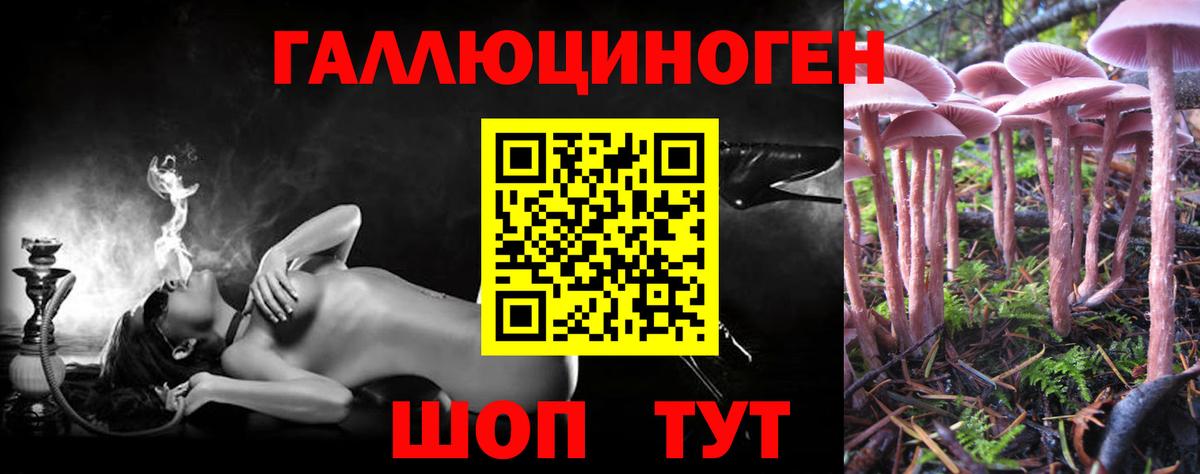 Галлюциногенные грибы Cubensis Гулькевичи