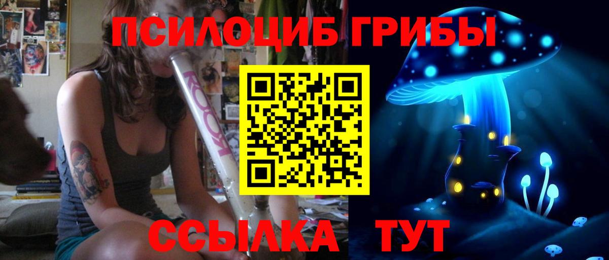 Галлюциногенные грибы Psilocybe  Гулькевичи 