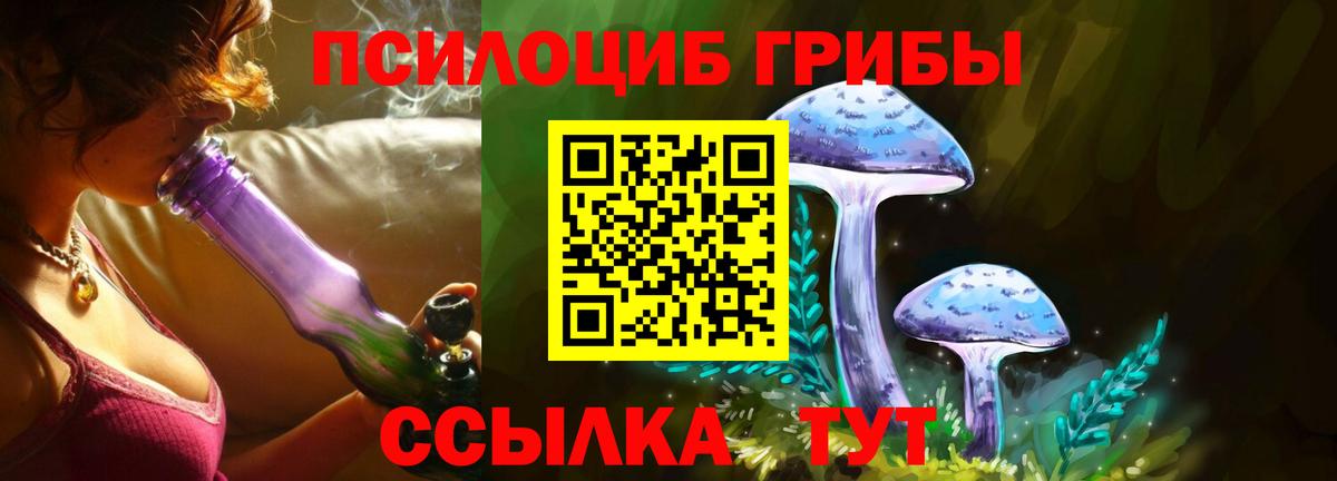 Галлюциногенные грибы Psilocybine cubensis Гулькевичи