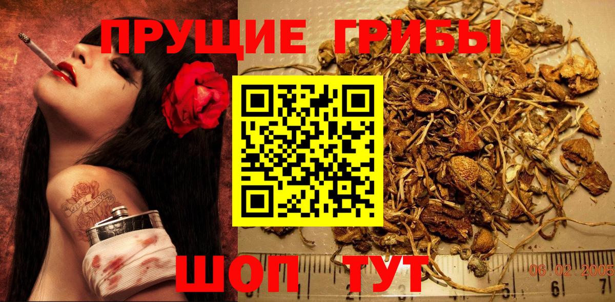 Псилоцибиновые грибы ЛСД  Вход с VPN  Гулькевичи  Галлюциногенные грибы мицелий 